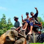 elephant-ostrich-ride-dalat-mimosatravel-info