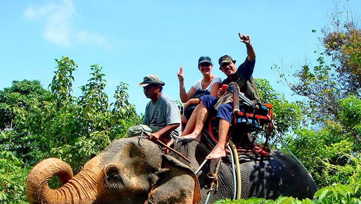 Dalat Elephant riding Experience Tour